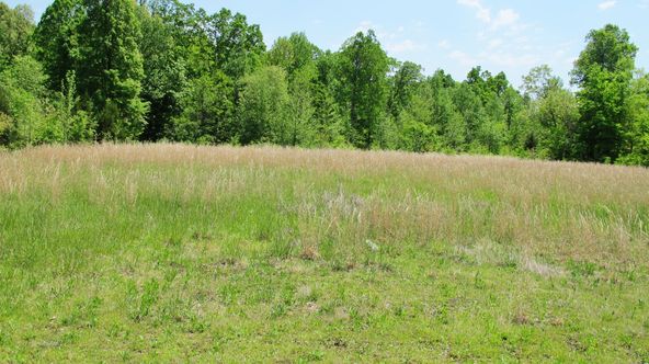 538 Dawson Rd, Princeton, KY 42445